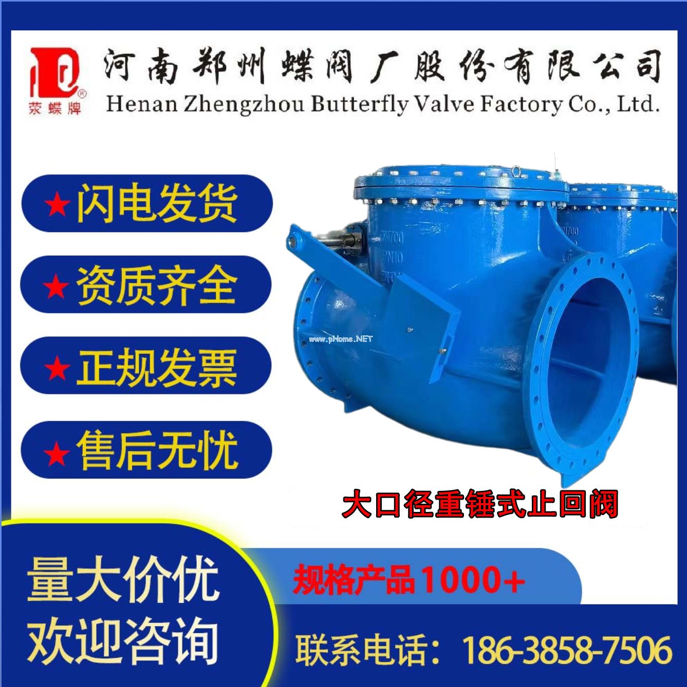 鄭州蝶閥廠大口徑重錘式止回閥支持定制法蘭連接國標